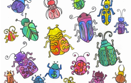 Colorful Crawlies